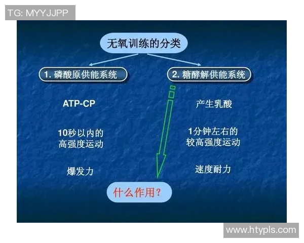 南京羽毛球队快攻打法深度分析与战术解析 南京羽毛球队快攻打法深度分析与战术解析