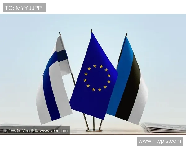 芬兰与爱沙尼亚足球赛精彩比分揭晓分析与回顾