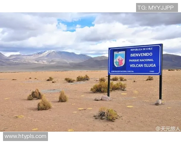 智利大学与伊基克的精彩对决揭示足球战术与团队精神的较量