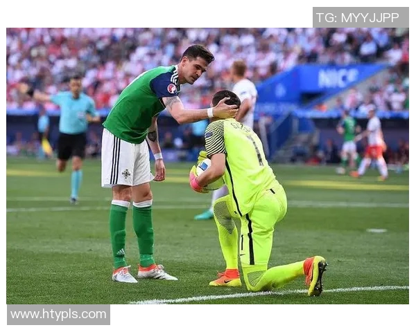 法国与冰岛比赛盘口水位分析及投注策略探讨